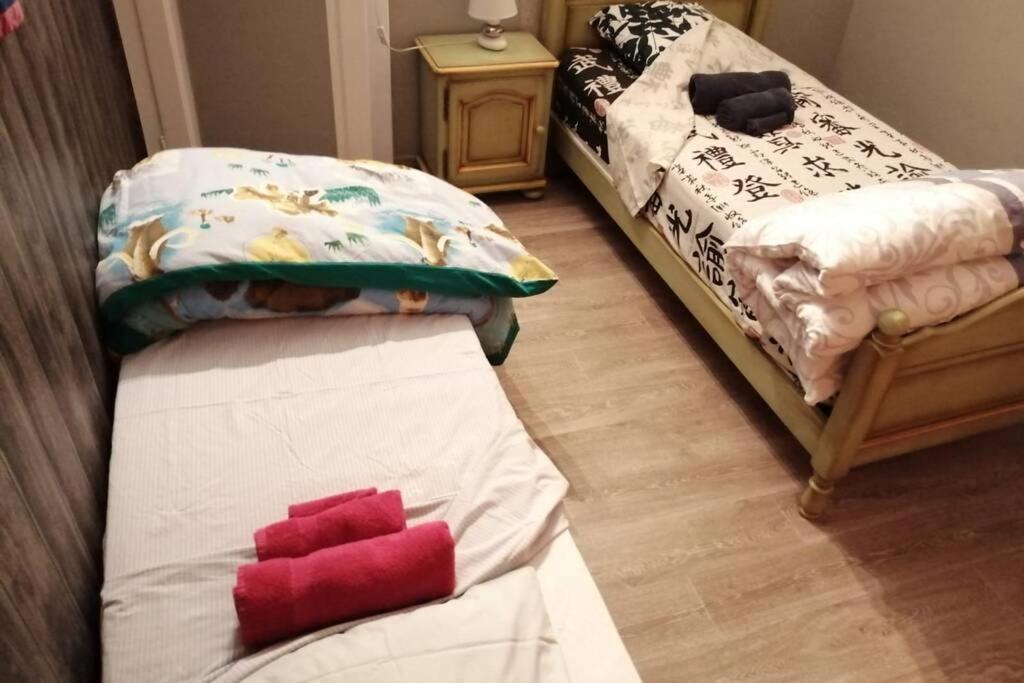 Sympathique Maison Sarreguemines Εξωτερικό φωτογραφία
